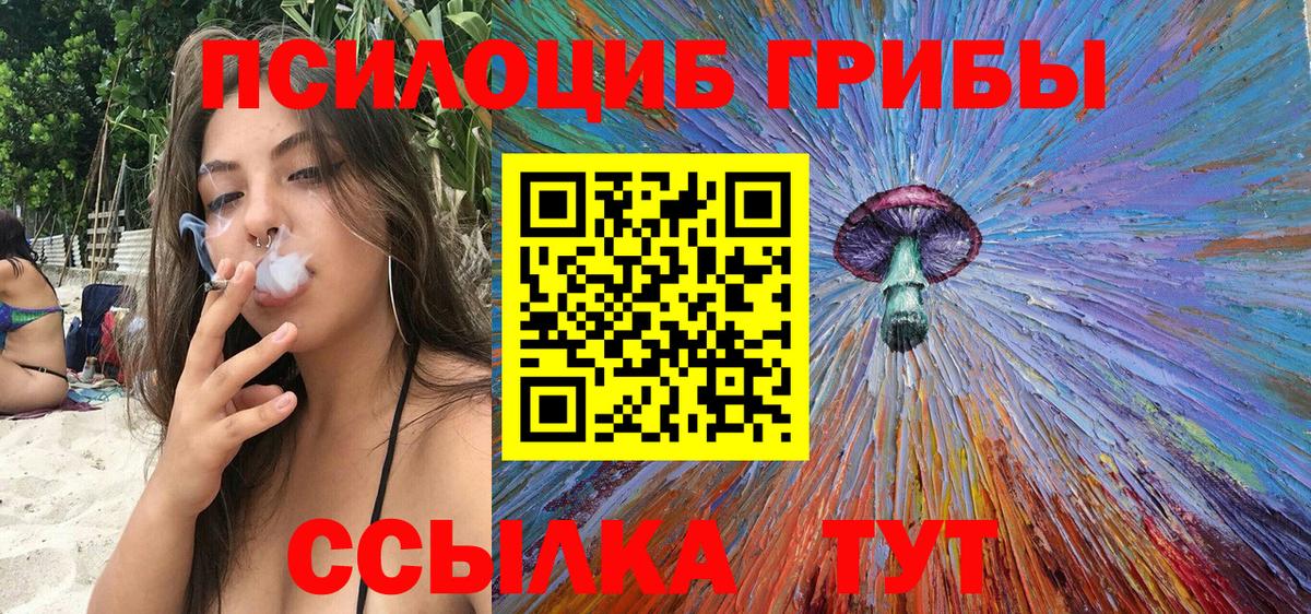 Псилоцибиновые грибы прущие грибы Узловая