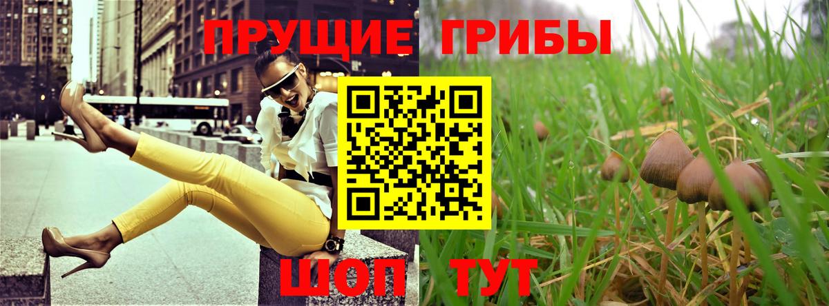 Узловая  Псилоцибиновые грибы прущие грибы  Вход с VPN 
